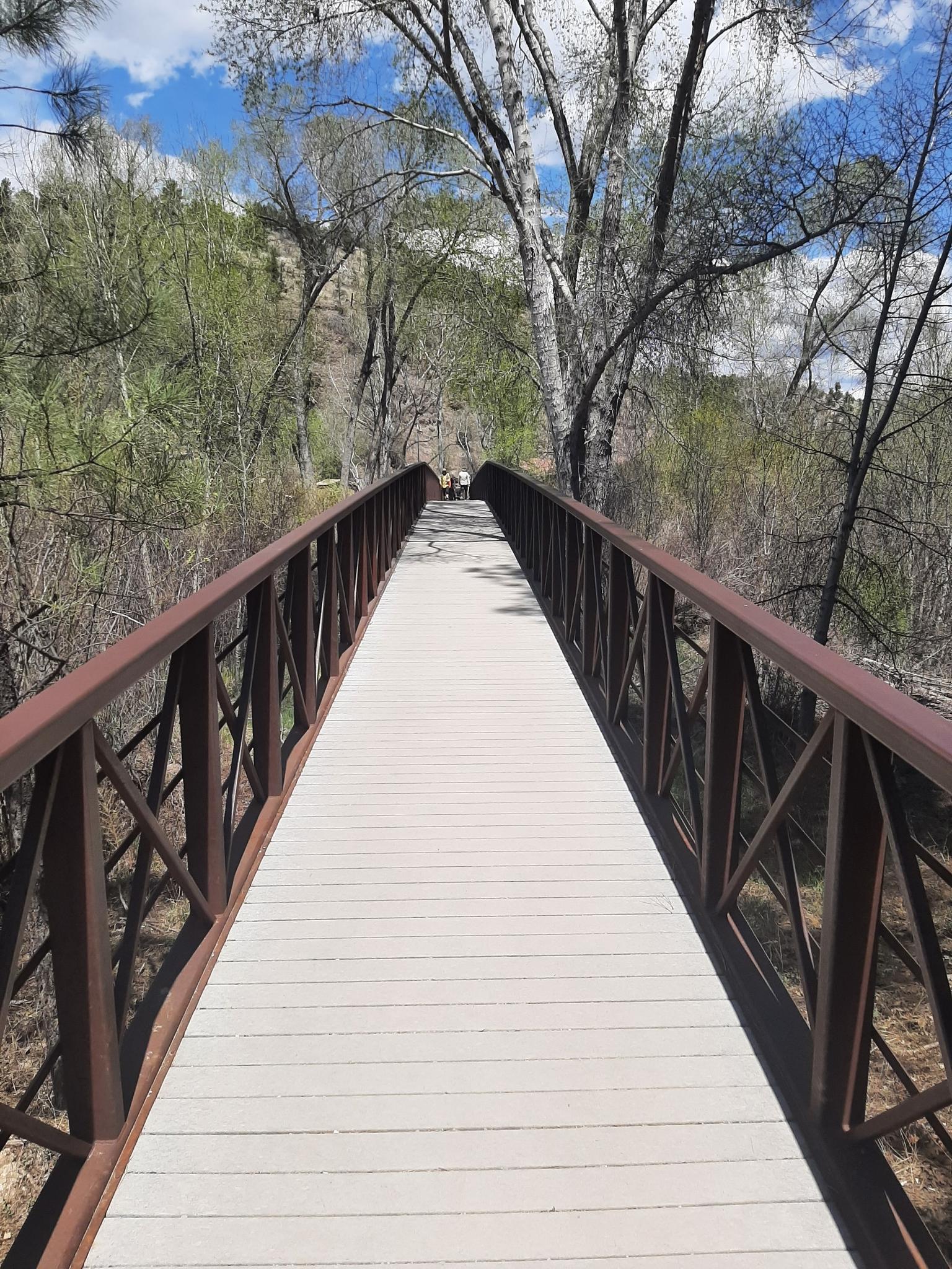 A long pedestrian bridge extends through trees under a bright, cloudy sky.