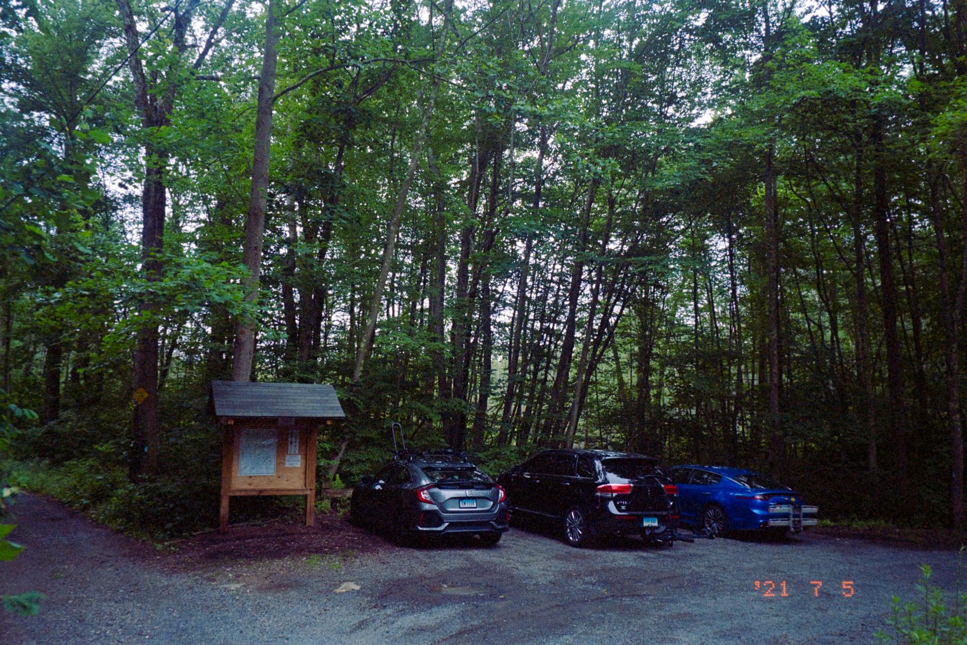 Three cars parked by an information board in a dense, green forest under soft light.