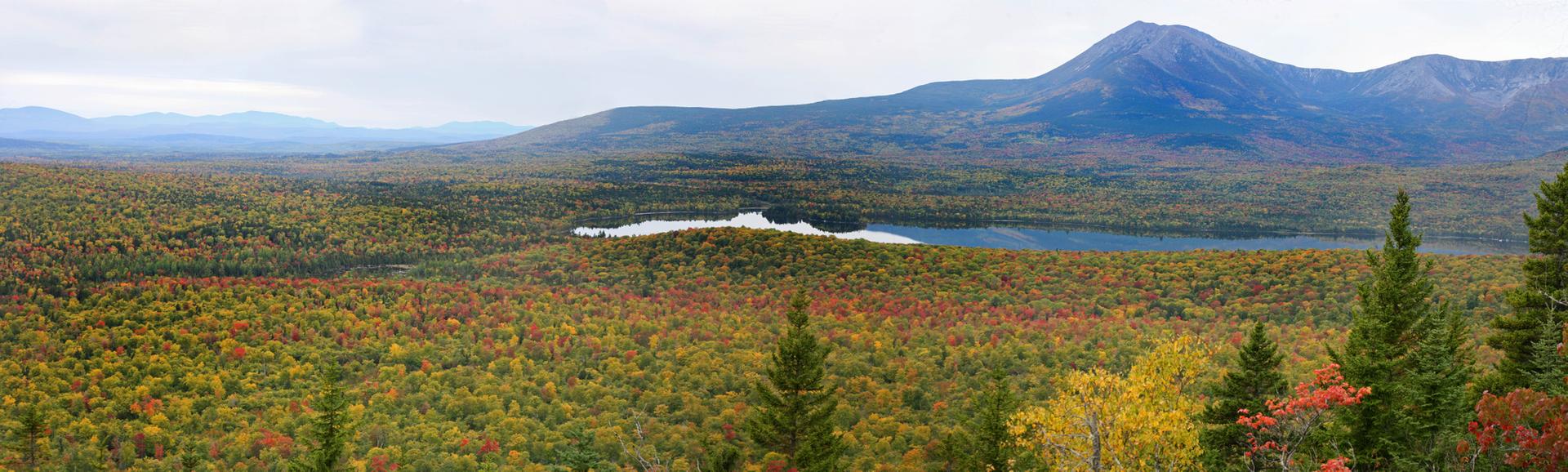 Expansive autumn forest with a lake and mountains under an overcast sky.