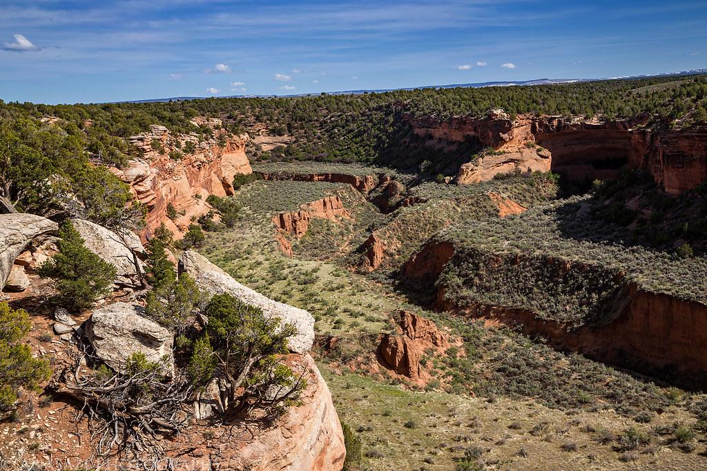 A wide, sunny canyon with red rock walls, green scrub, and distant forest.