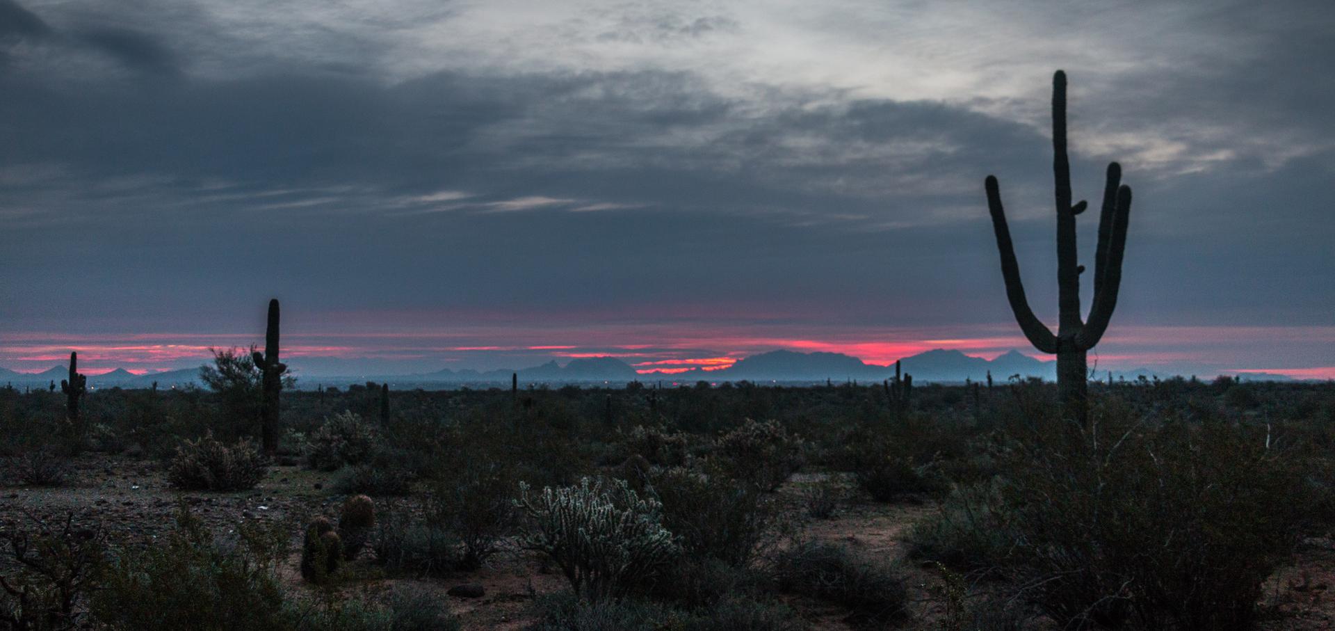 Silhouetted saguaro cacti against a dark, cloudy sky with a red horizon.