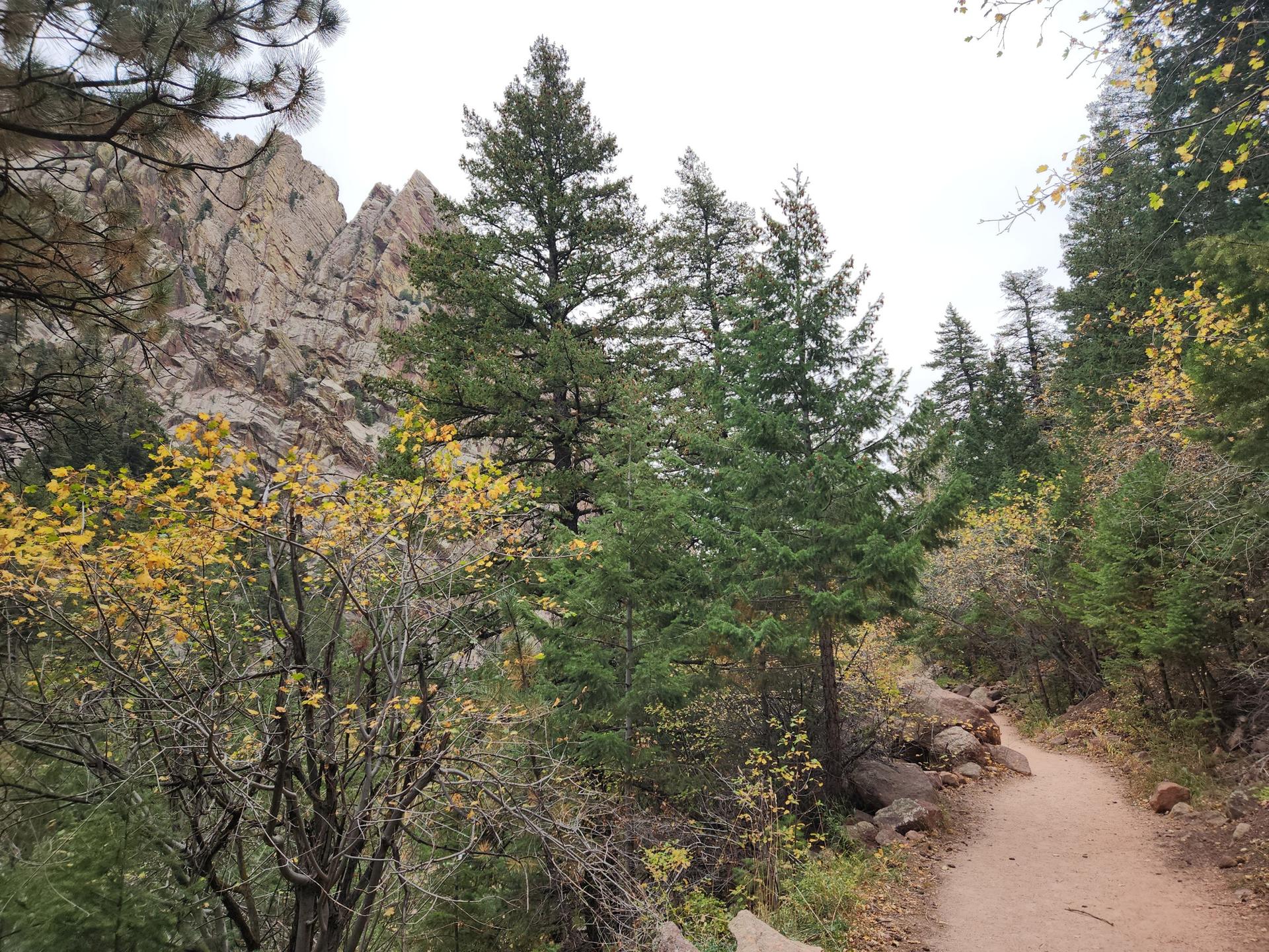 Dirt path winding through a forest with autumn foliage and rocky cliffs.