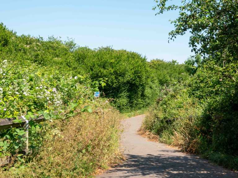 Exmouth to Budleigh cycle path Cycle Routes and Map Komoot