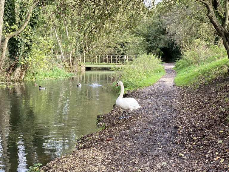 Stanford Dingley & Bradfield Schleife über Fluss Pang — North Wessex ...