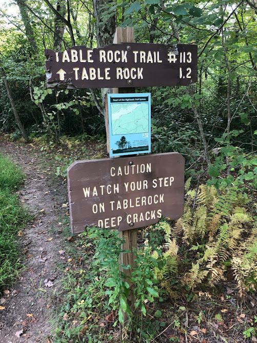 Wooden trail signs in a forest, one warning about deep cracks.