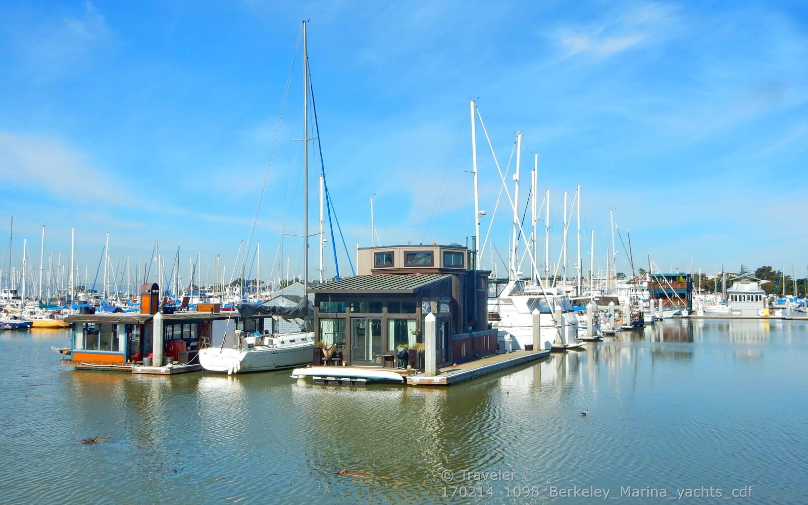 Houseboats and sailboats docked in a calm marina under a clear blue sky.