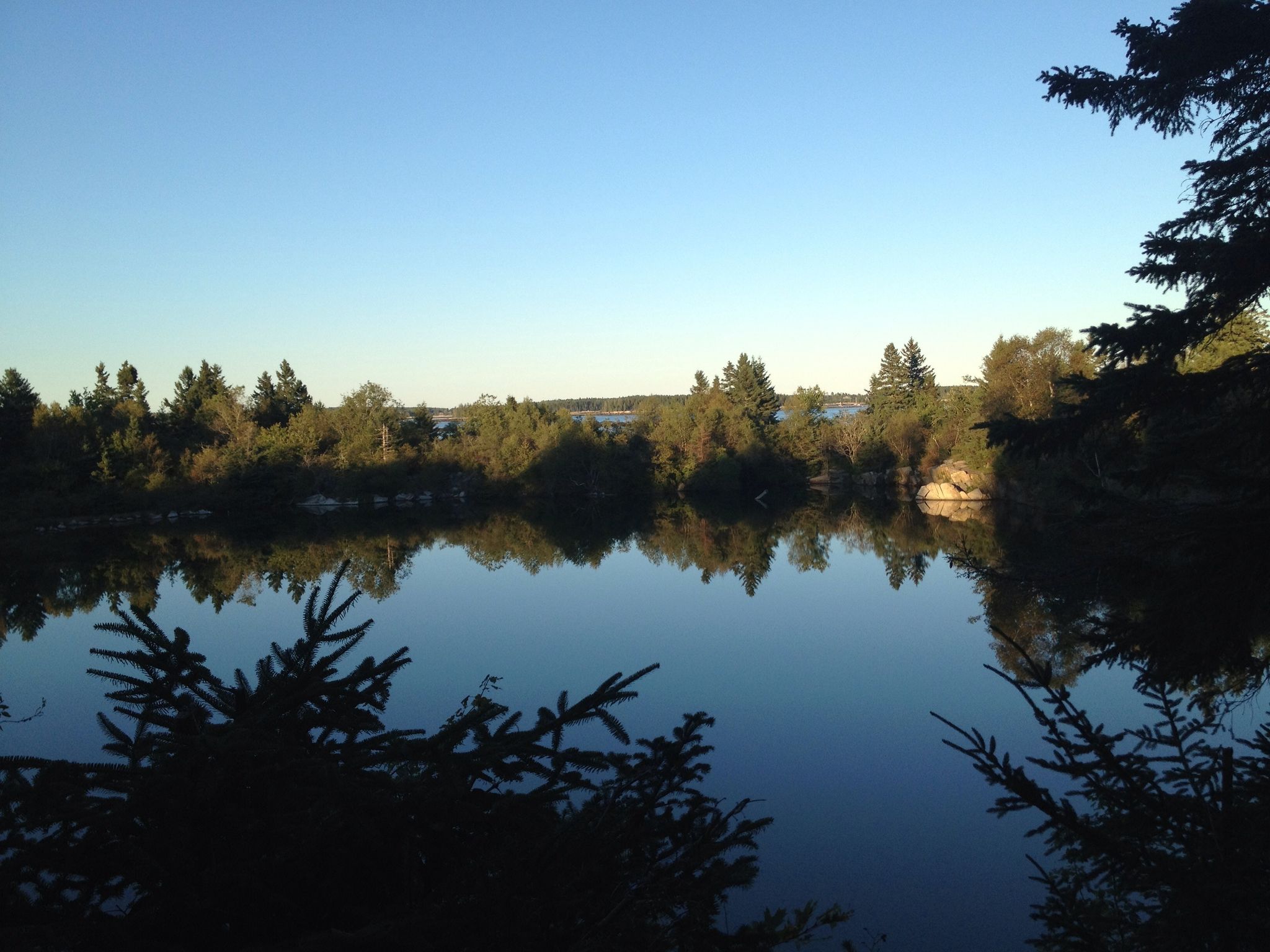 Calm lake reflecting dense trees under a clear blue sky at sunrise. - Clark Island Preserve loop
