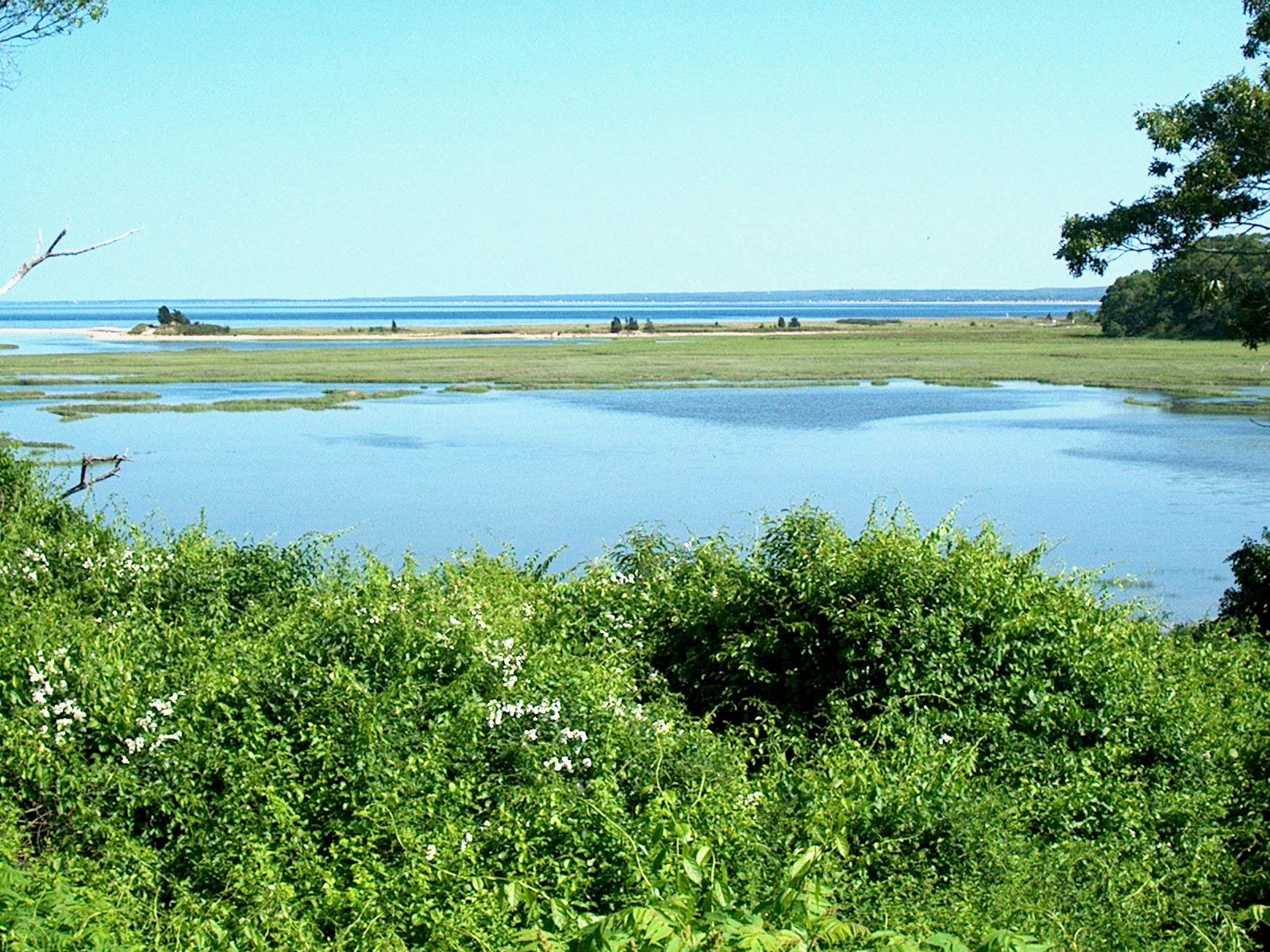 Bright sunny day over a wide marshland leading to a distant water body. - Plymouth Wishbone Trail