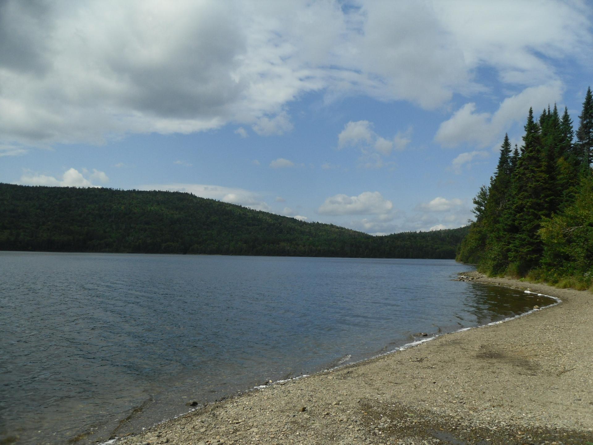 Wide lake with a gravel shore, surrounded by dark green evergreen forest.