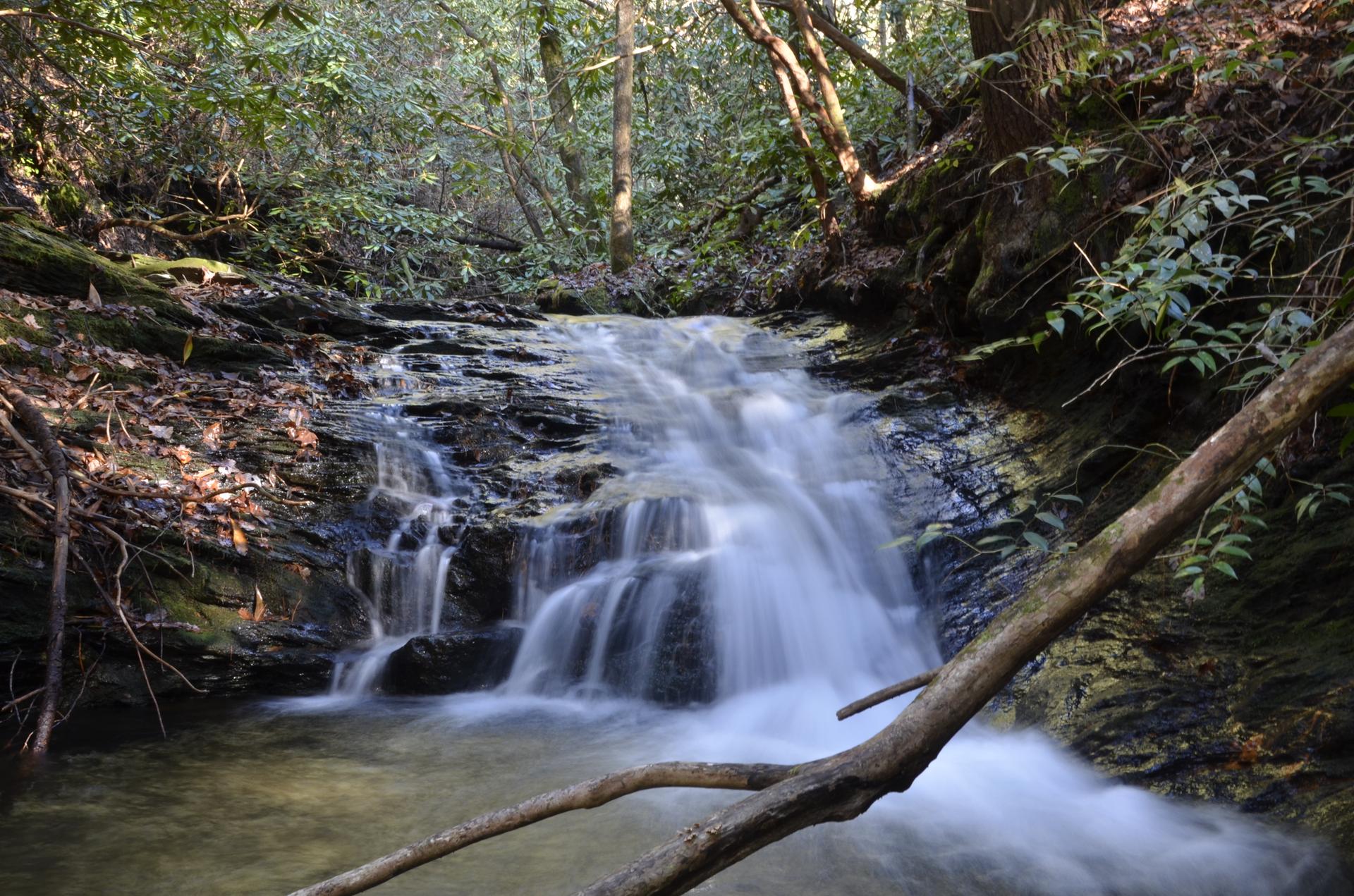 A small waterfall cascades over rocks in a lush, sun-dappled forest.