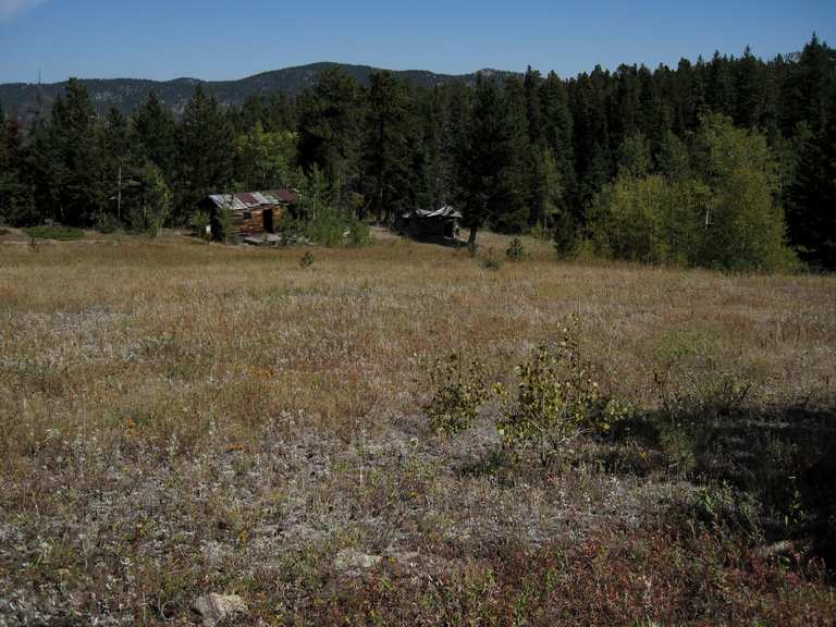 Homestead Meadows da Lion Gulch Trailhead — Roosevelt National Forest