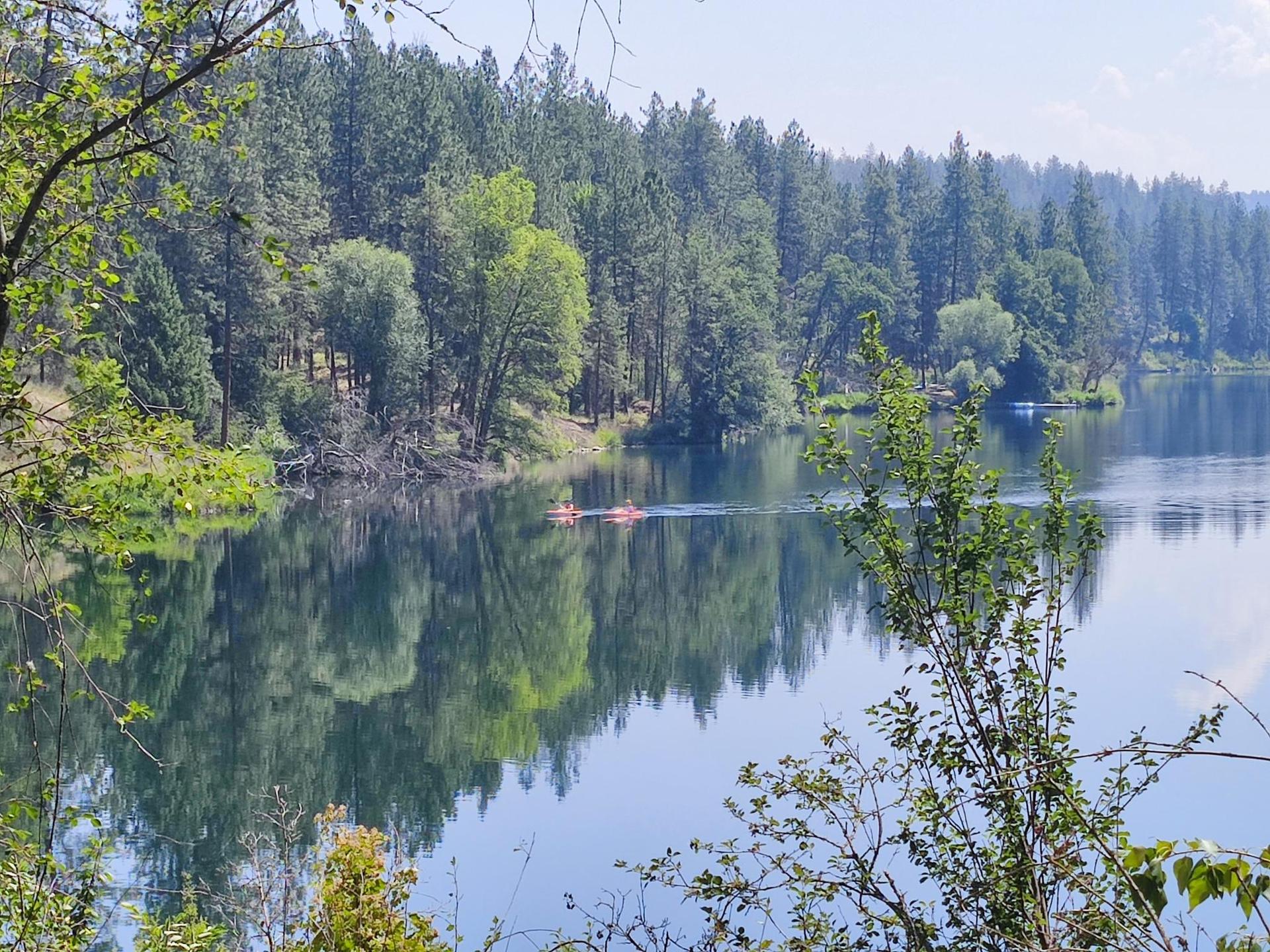 Two kayakers paddle on a calm lake reflecting a dense green forest.