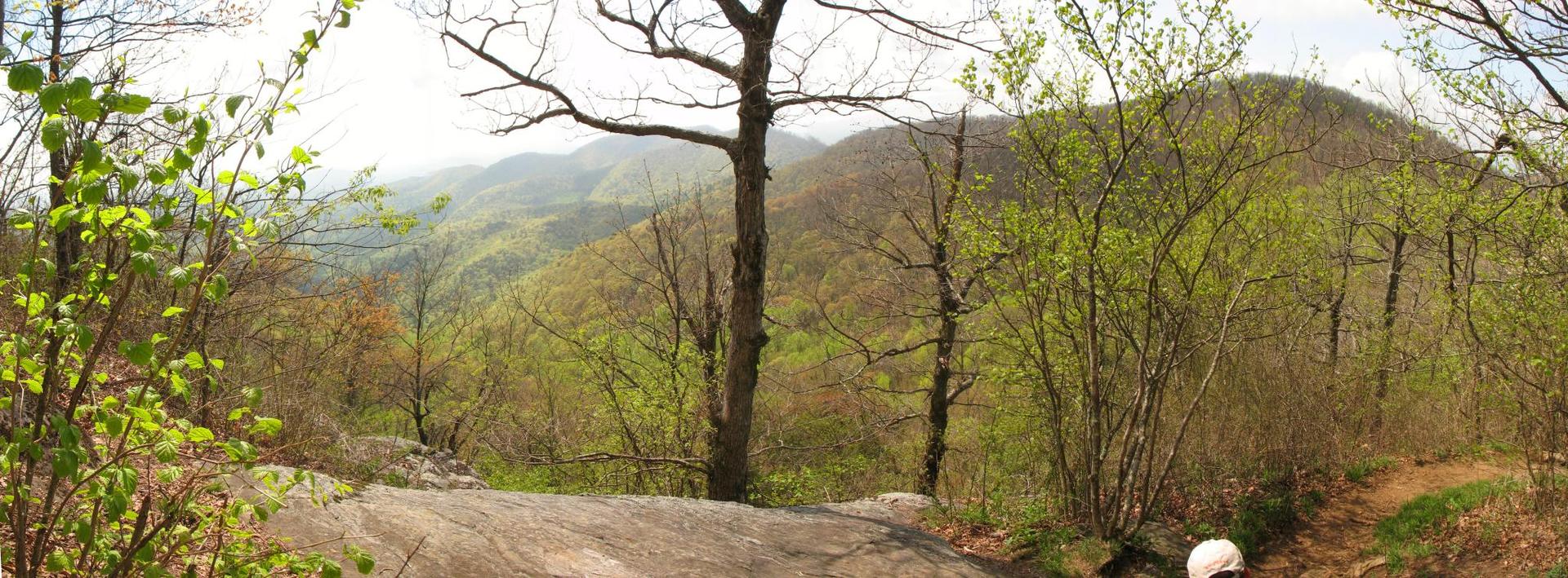 Panoramic view of green mountains and trees under bright natural light.