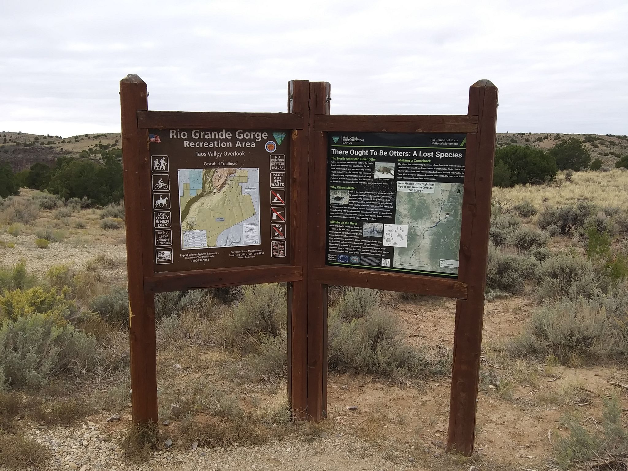 Two wooden information signs in a dry, grassy landscape. - Rift Valley Loop Trails