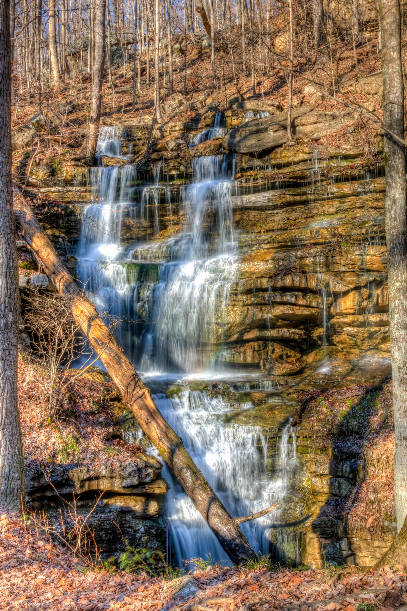 Cascading waterfall over rocky ledges with a large fallen log.