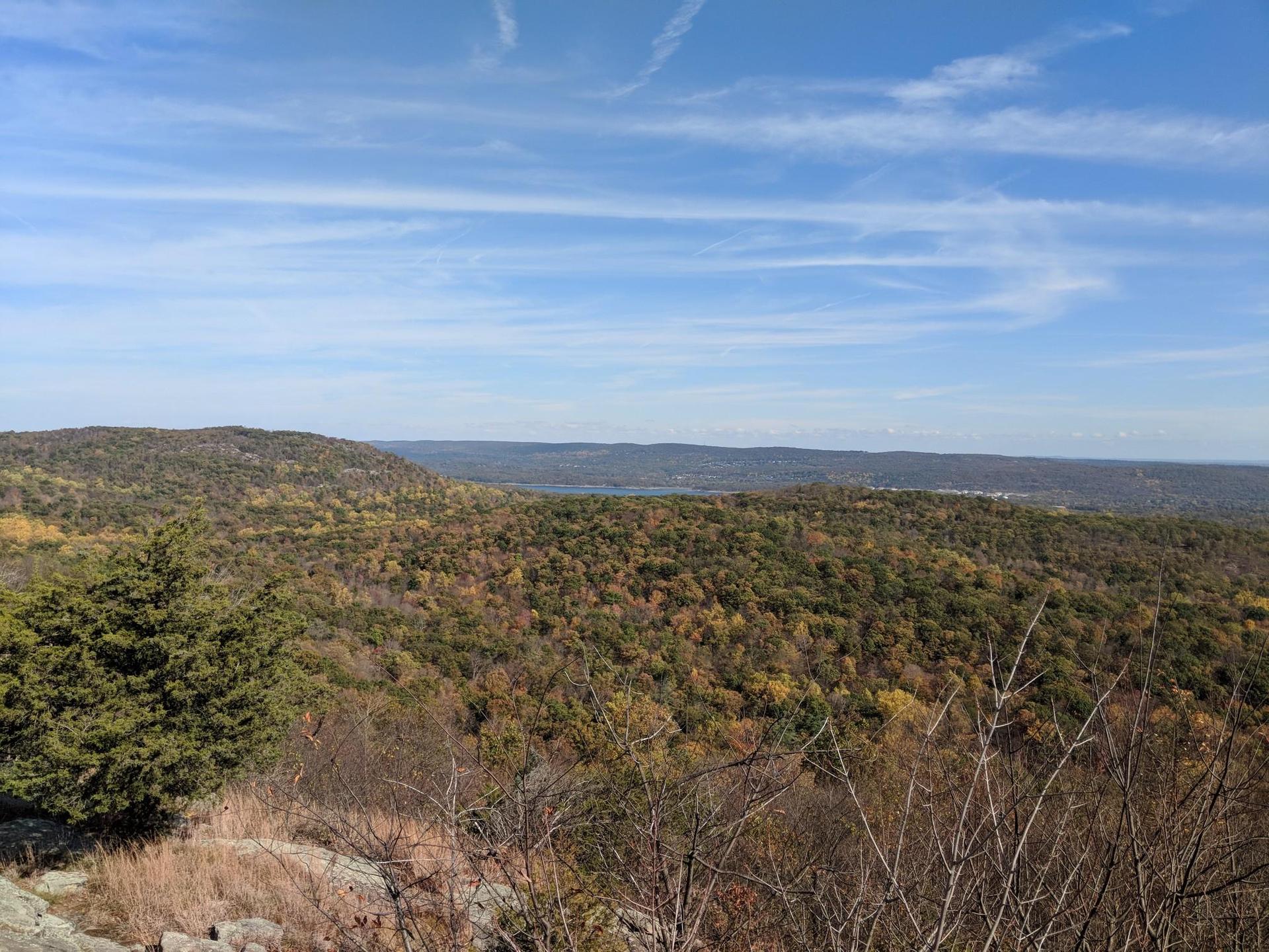 Expansive view of a forested valley with autumn foliage under a bright blue sky.