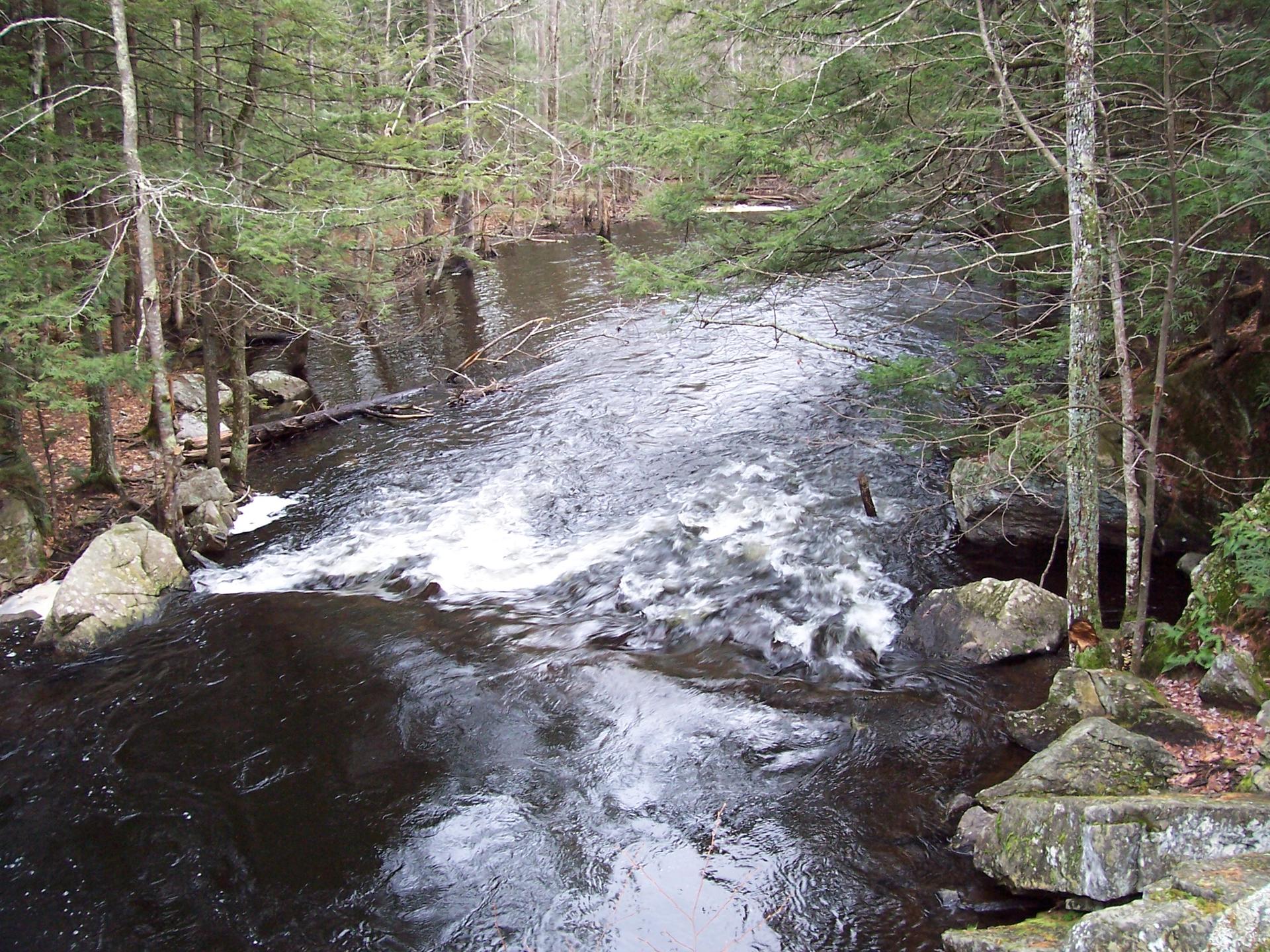 Dark river with white rapids flowing through a rocky, green forest.