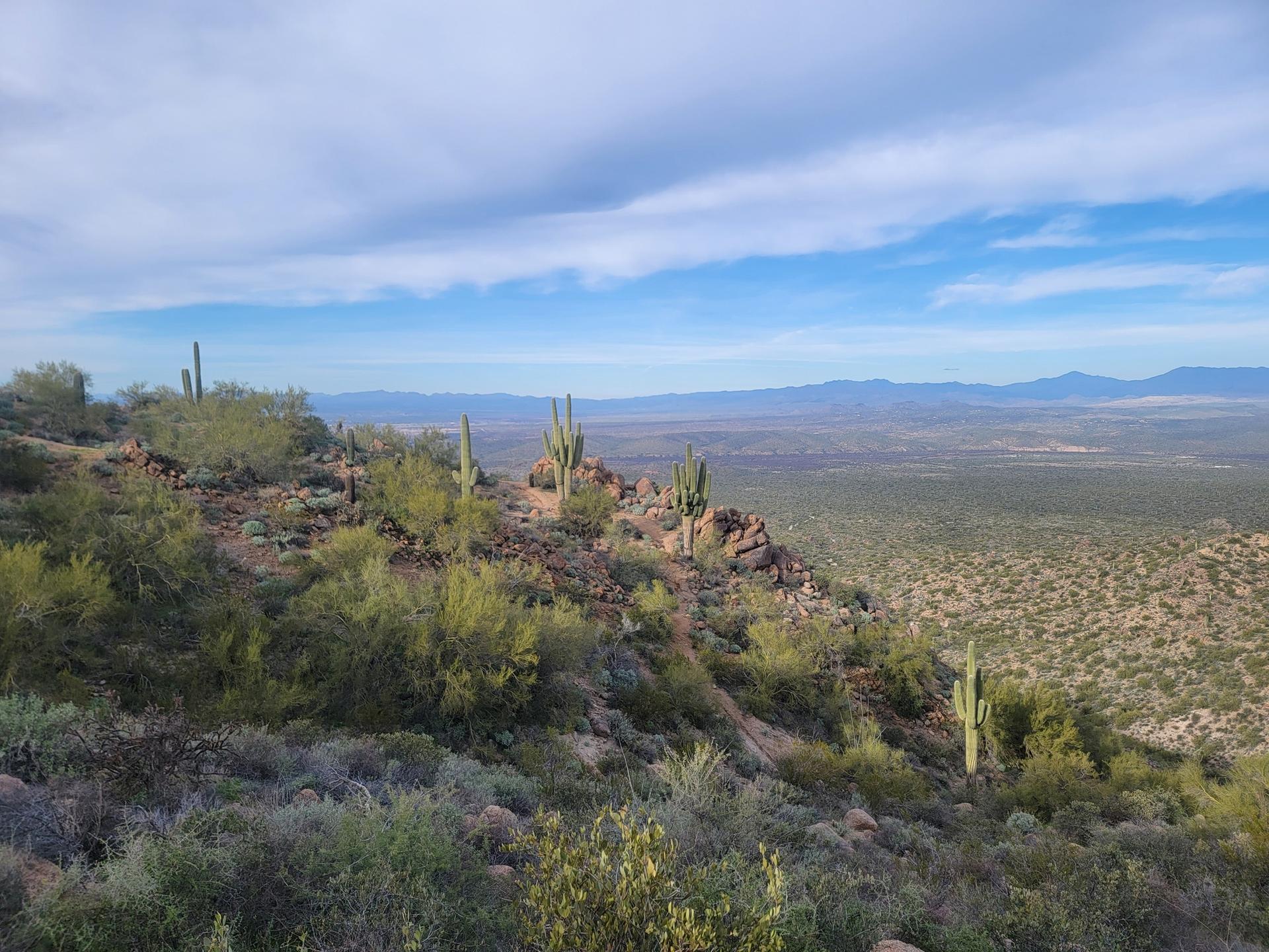 Expansive desert landscape with saguaro cacti and distant mountains under a cloudy sky.