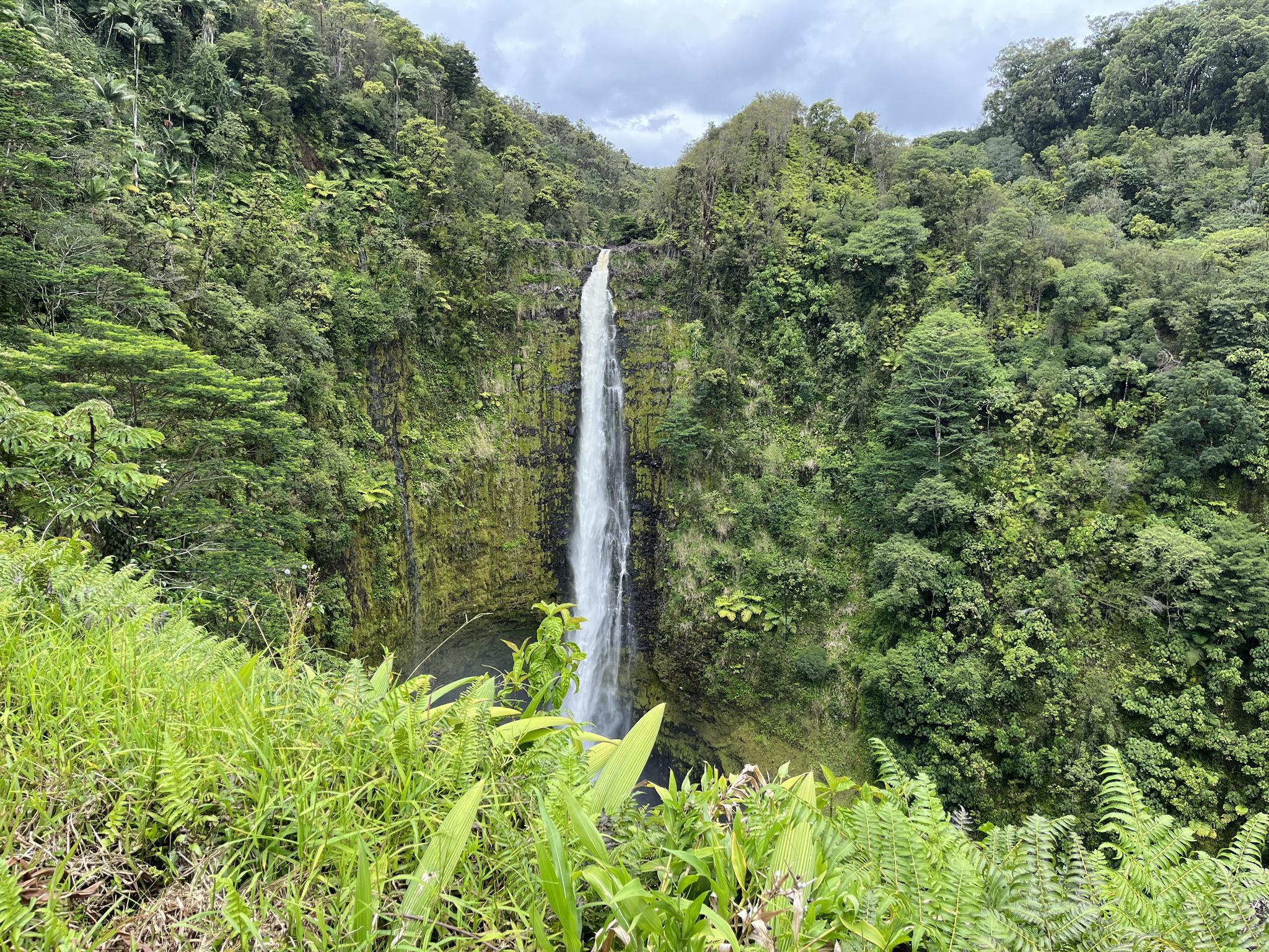 Majestic waterfall plunging into a lush, green tropical gorge under cloudy skies.
