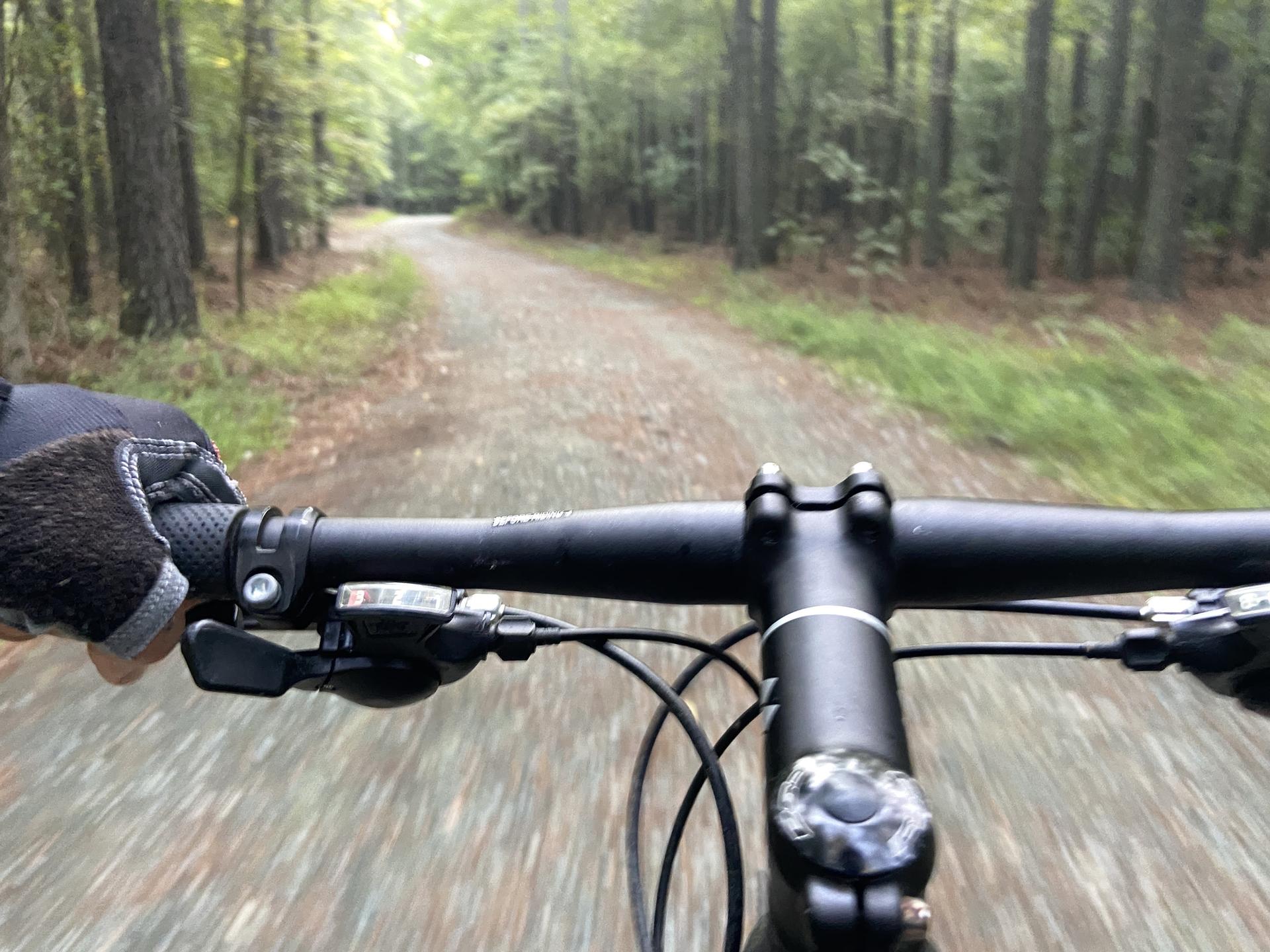 POV from a bicycle, riding on a dirt path through a green forest.
