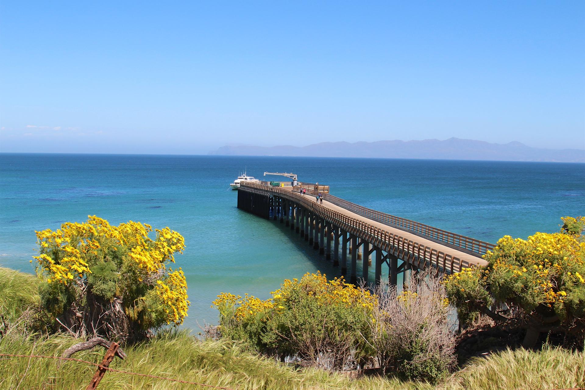Long wooden pier extends into bright blue ocean with yellow flowers foreground.
