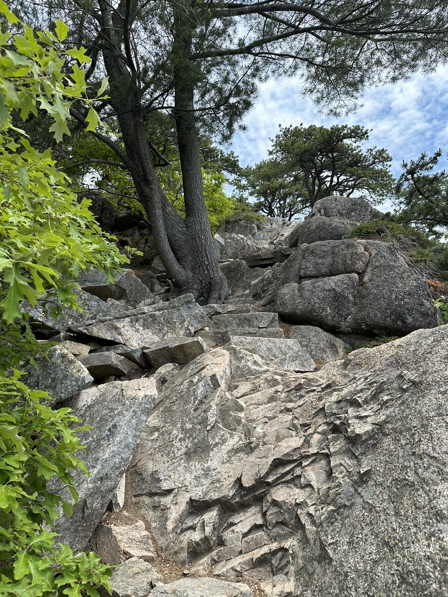 Steep, rugged trail made of large rocks and boulders, surrounded by green trees.