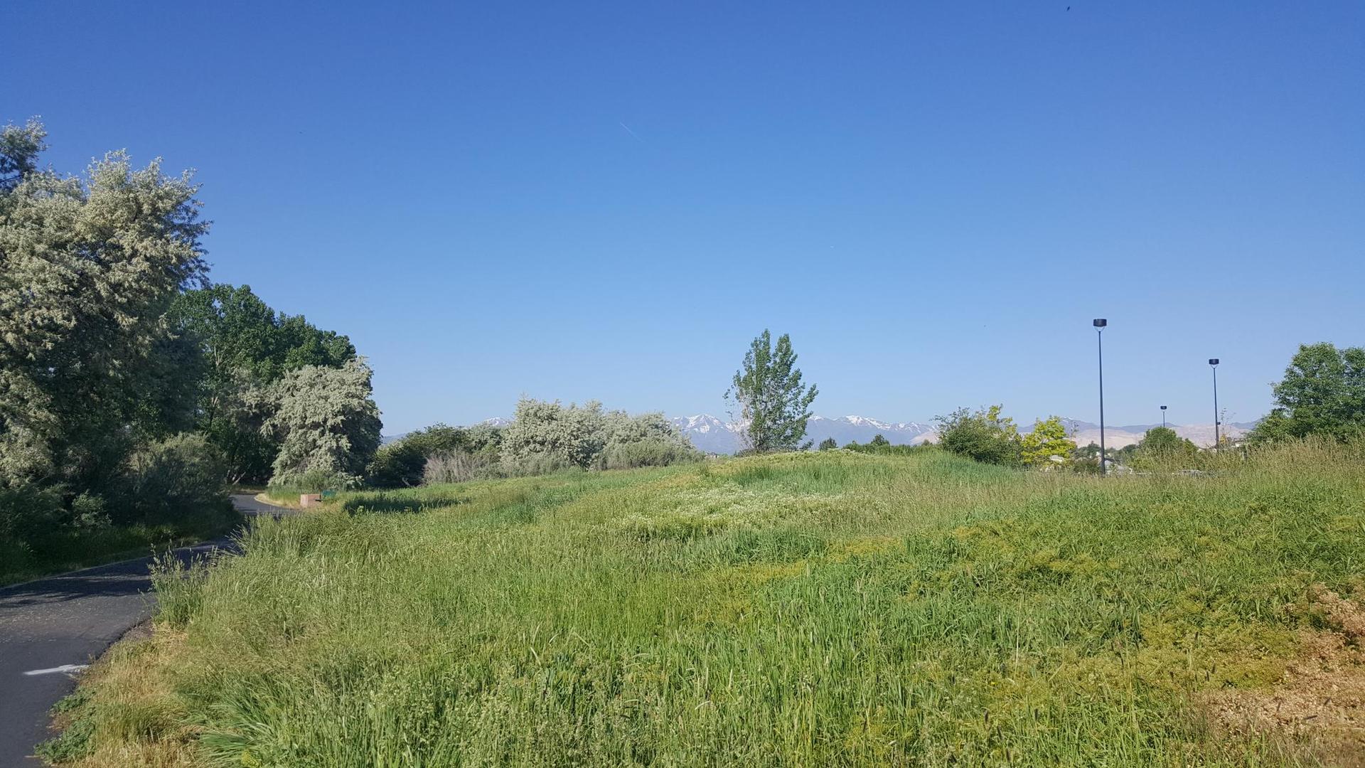 Bright sunny day over a green field with trees and distant mountains.