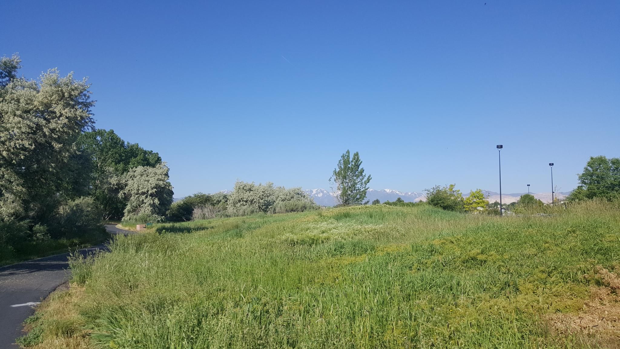 Bright sunny day over a green field with trees and distant mountains. - Jordan River Parkway Trail