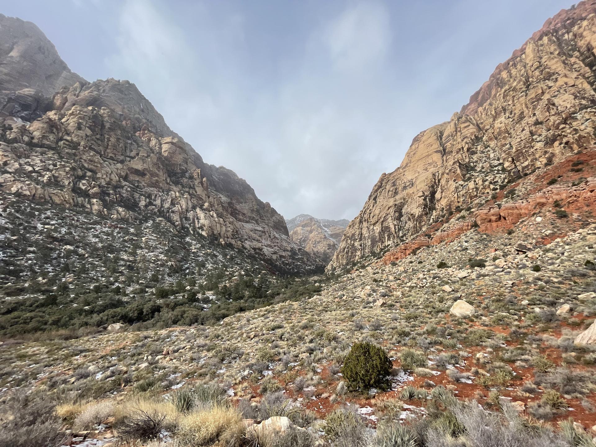 Overcast view of a rocky canyon with sparse vegetation and snow-dusted mountains.