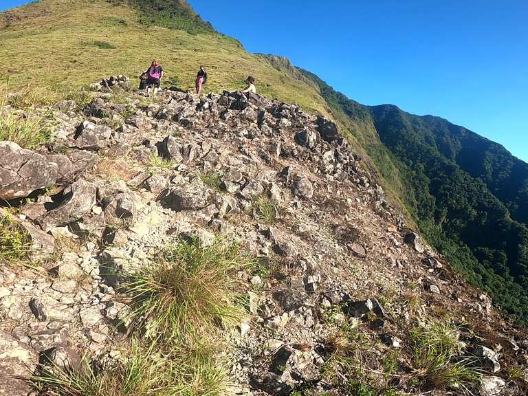 Papaya River and Tarak Ridge Summit Hike – Hikes & How to Get There ...
