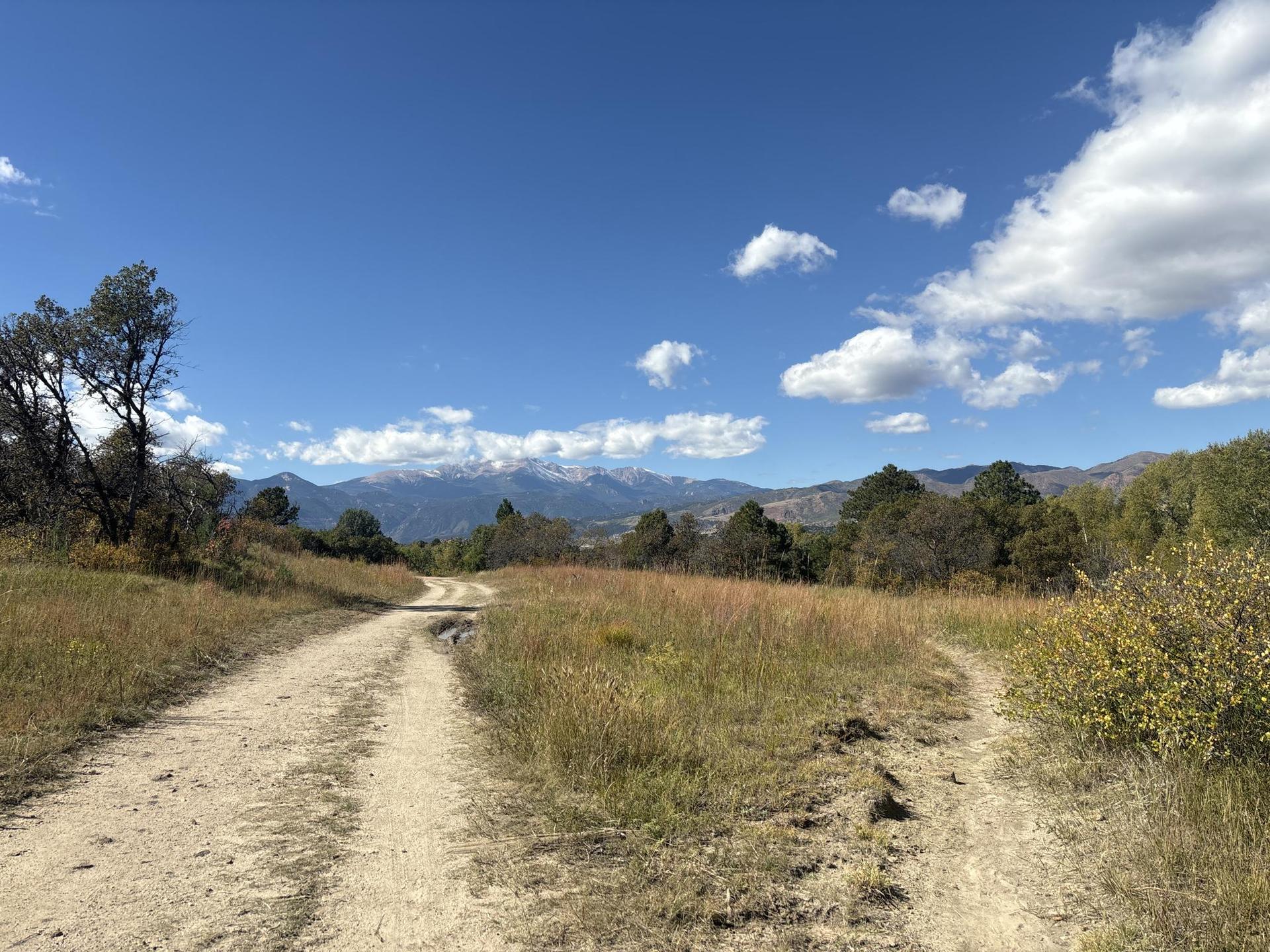 Dirt road forks in a grassy field with distant snow-capped mountains.