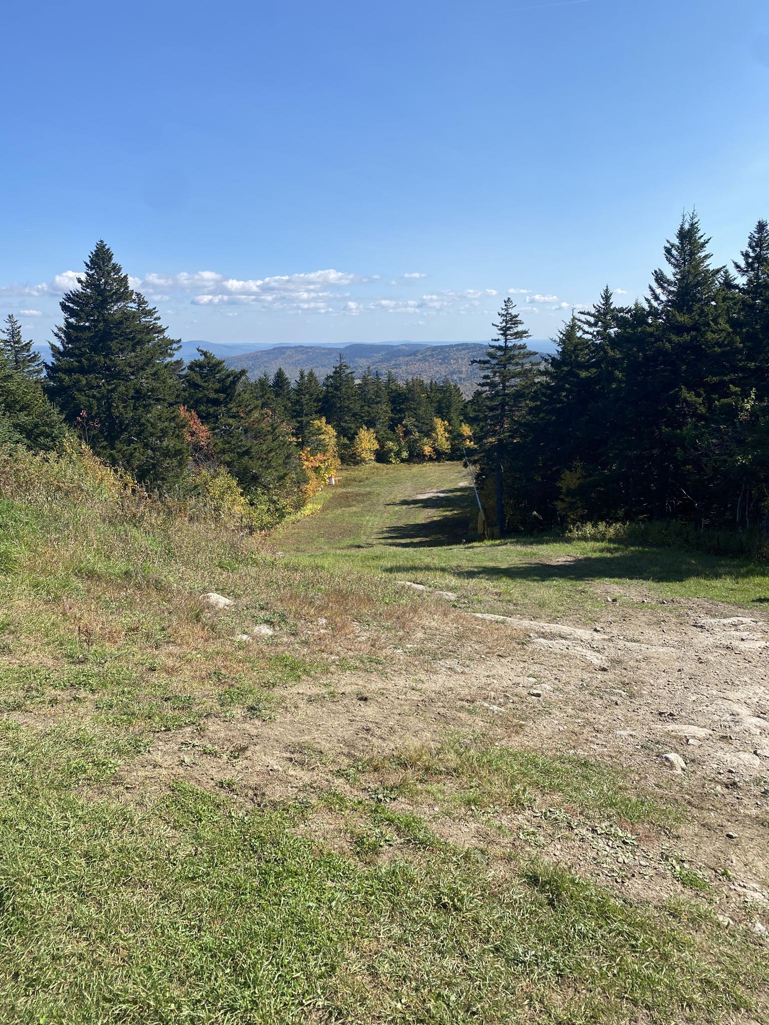 Grassy ski slope descends through evergreen trees towards distant mountains on a clear day.