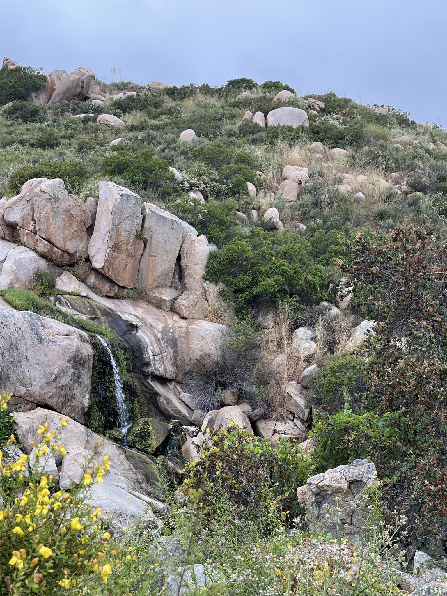 Small waterfall cascading over large boulders on a lush, rocky hillside.