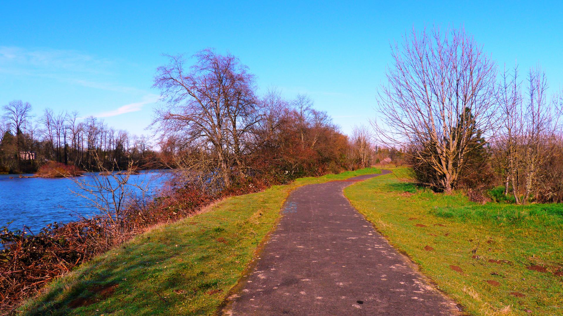 A paved path winds alongside a blue river, with bare trees under a bright sky.