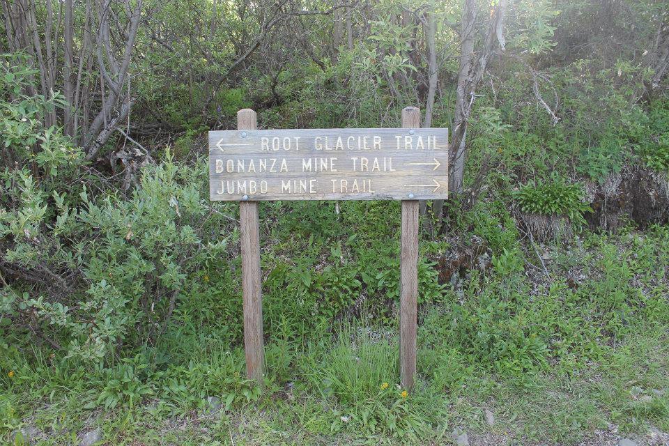 A wooden trail sign with arrows, surrounded by lush green foliage.