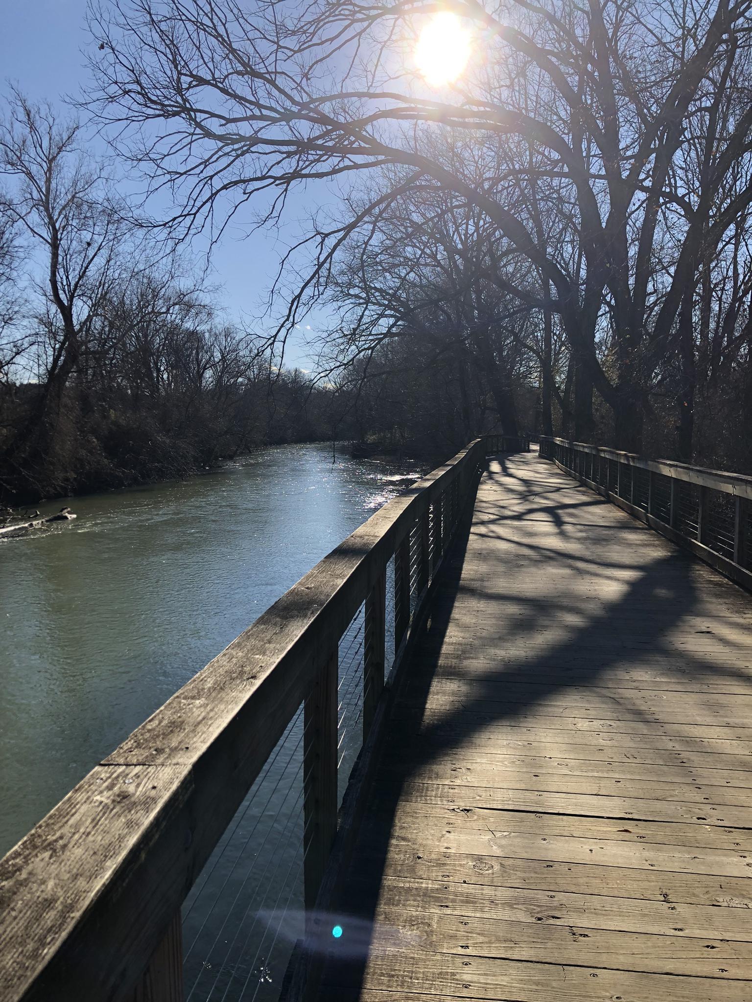 Sunny view of a wooden boardwalk beside a river with bare trees.