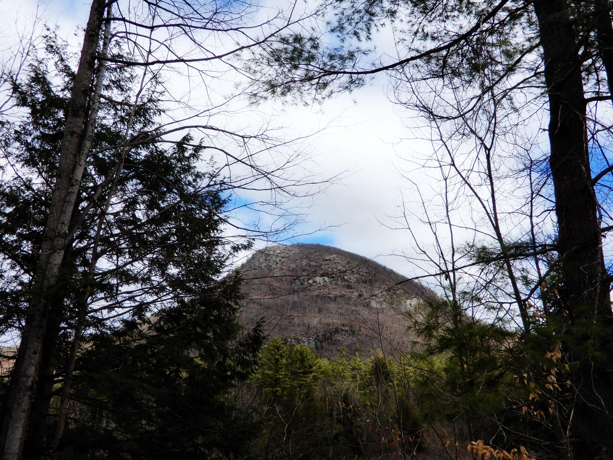 Large, bare mountain peak framed by trees under a cloudy sky.