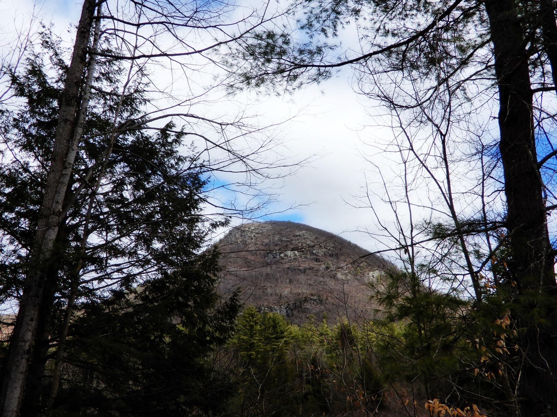 Large, bare mountain peak framed by trees under a cloudy sky.