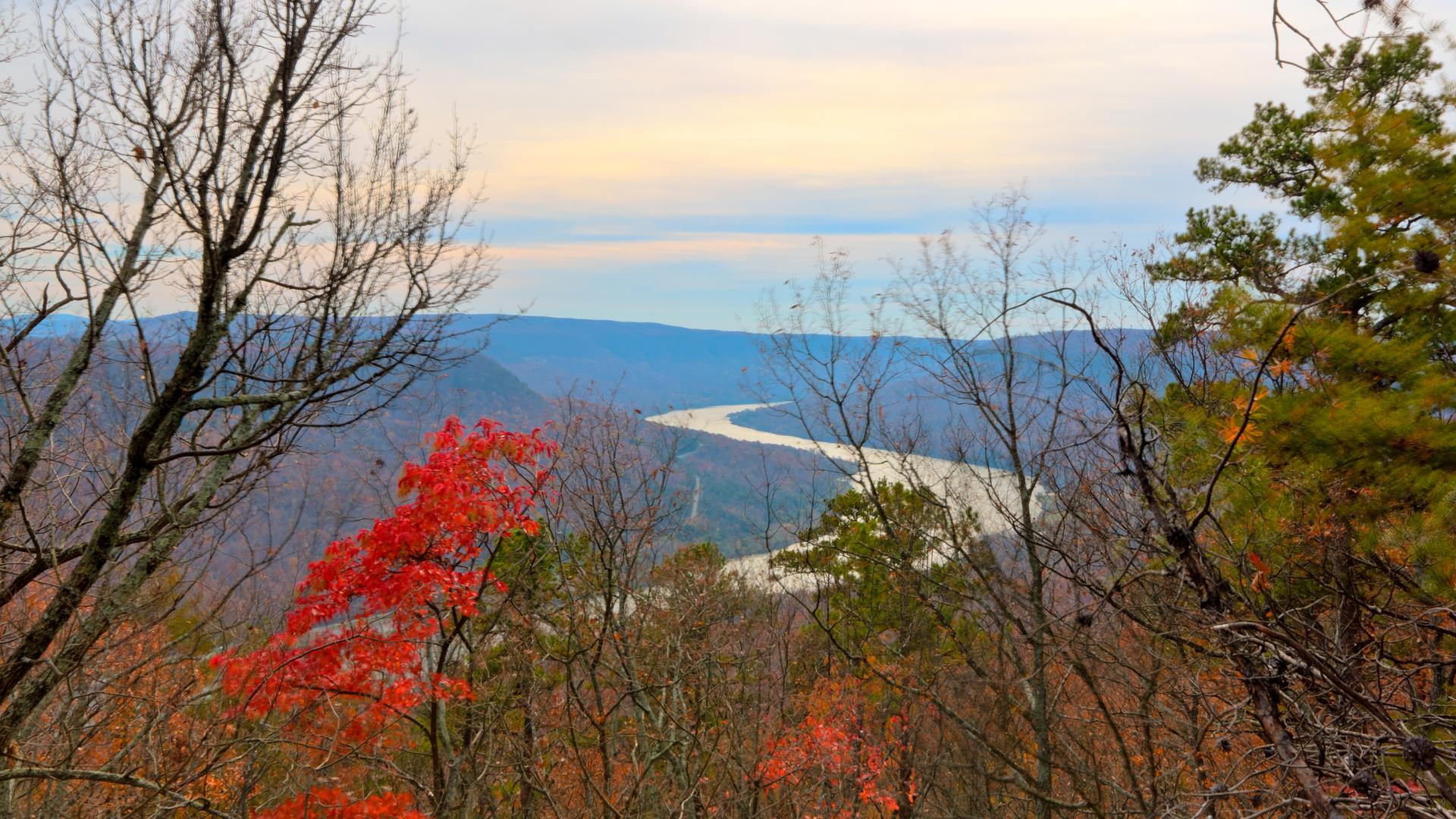 A winding river flows through forested hills with vibrant autumn foliage under a cloudy sky.