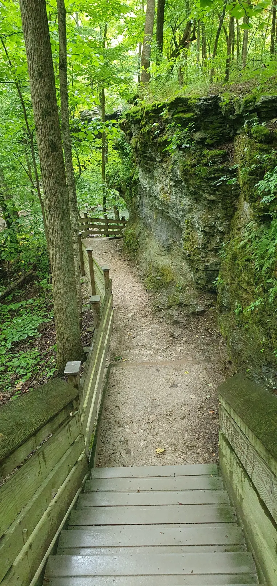 Wooden stairs lead down to a dirt path beside a mossy rock wall.