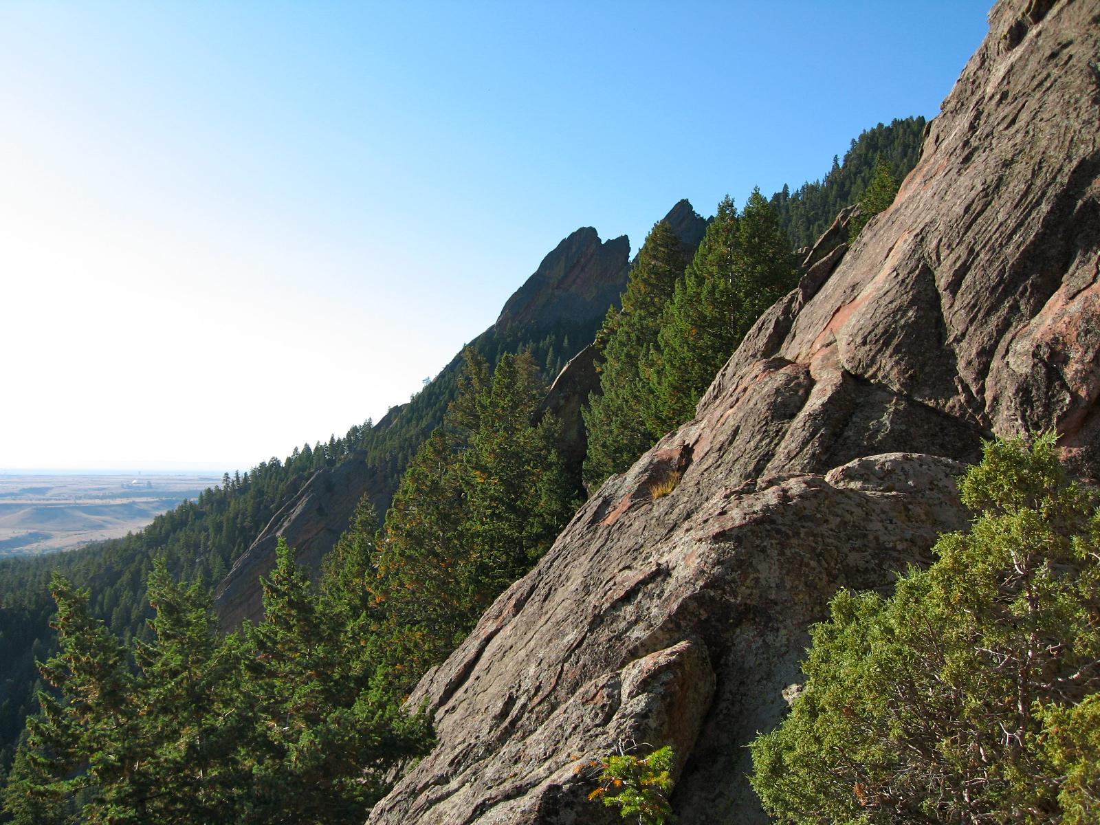 Sunny view of steep rocky mountainside with pine trees and distant plains.