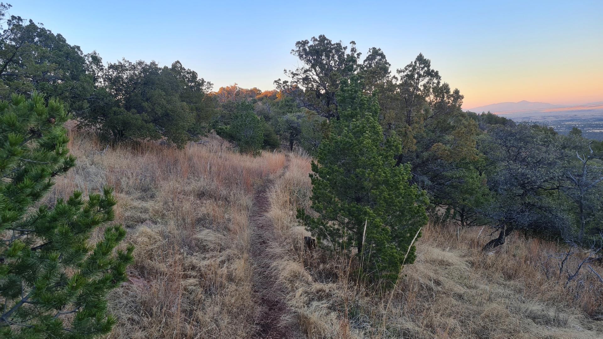 Narrow dirt path through dry grass and trees at sunset.