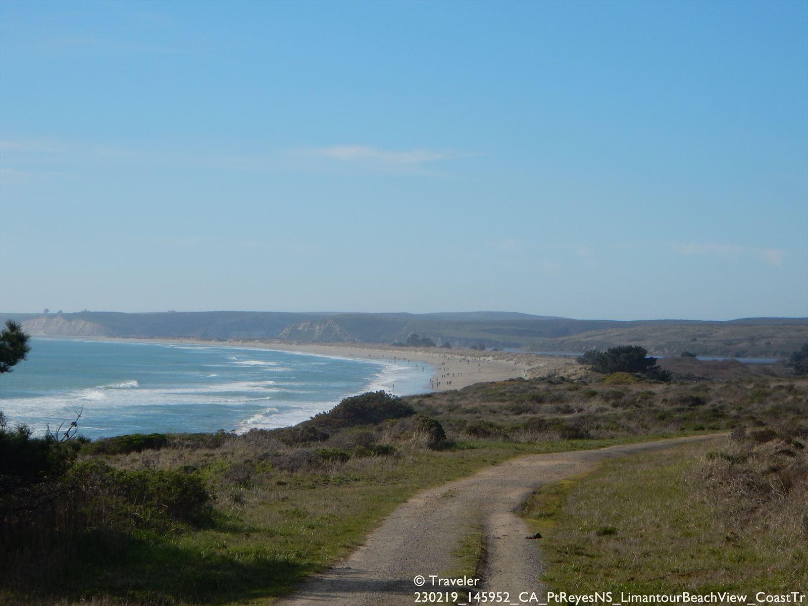Dirt road leading to a sunny coastal beach with waves and grassy hills.