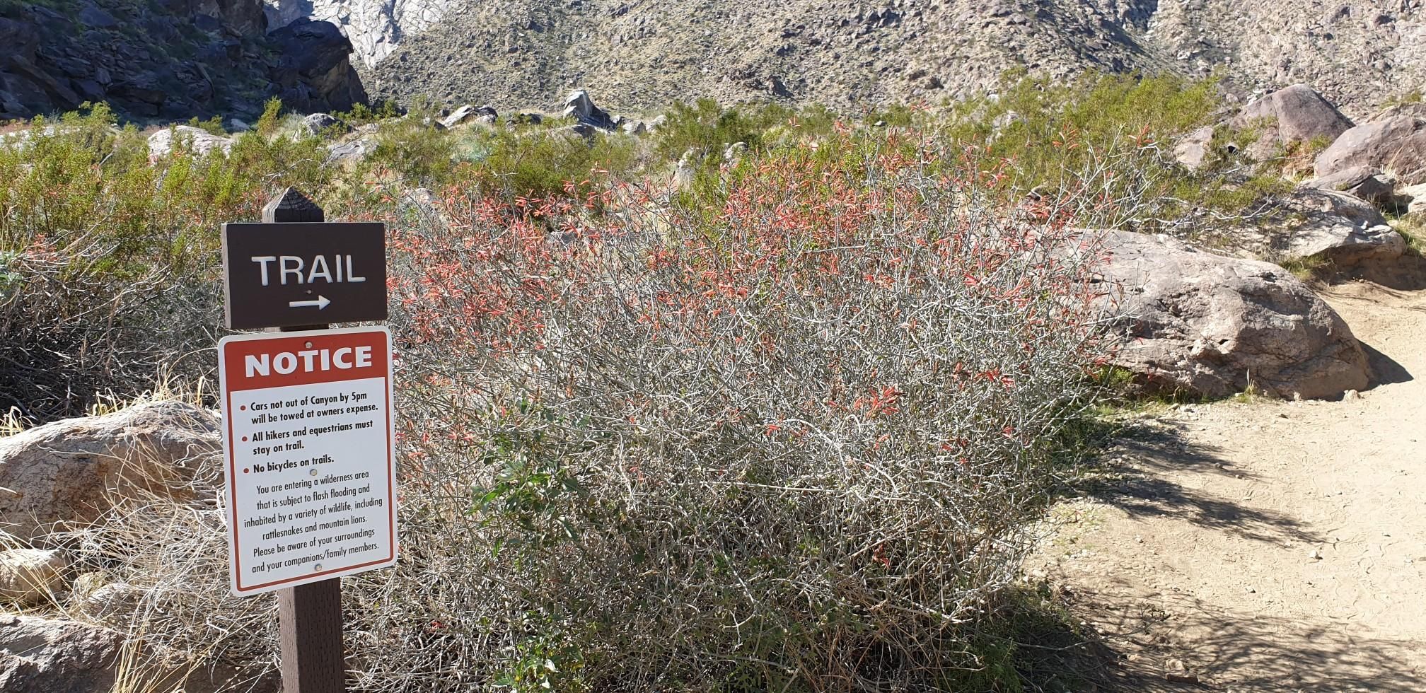 A trail sign and notice board next to desert bushes on a sunny day. - Tahquitz Canyon Trail