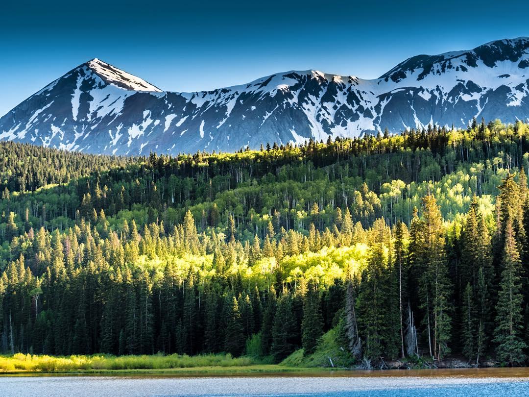 Snow-capped mountains overlook a sunlit forest and calm blue water.