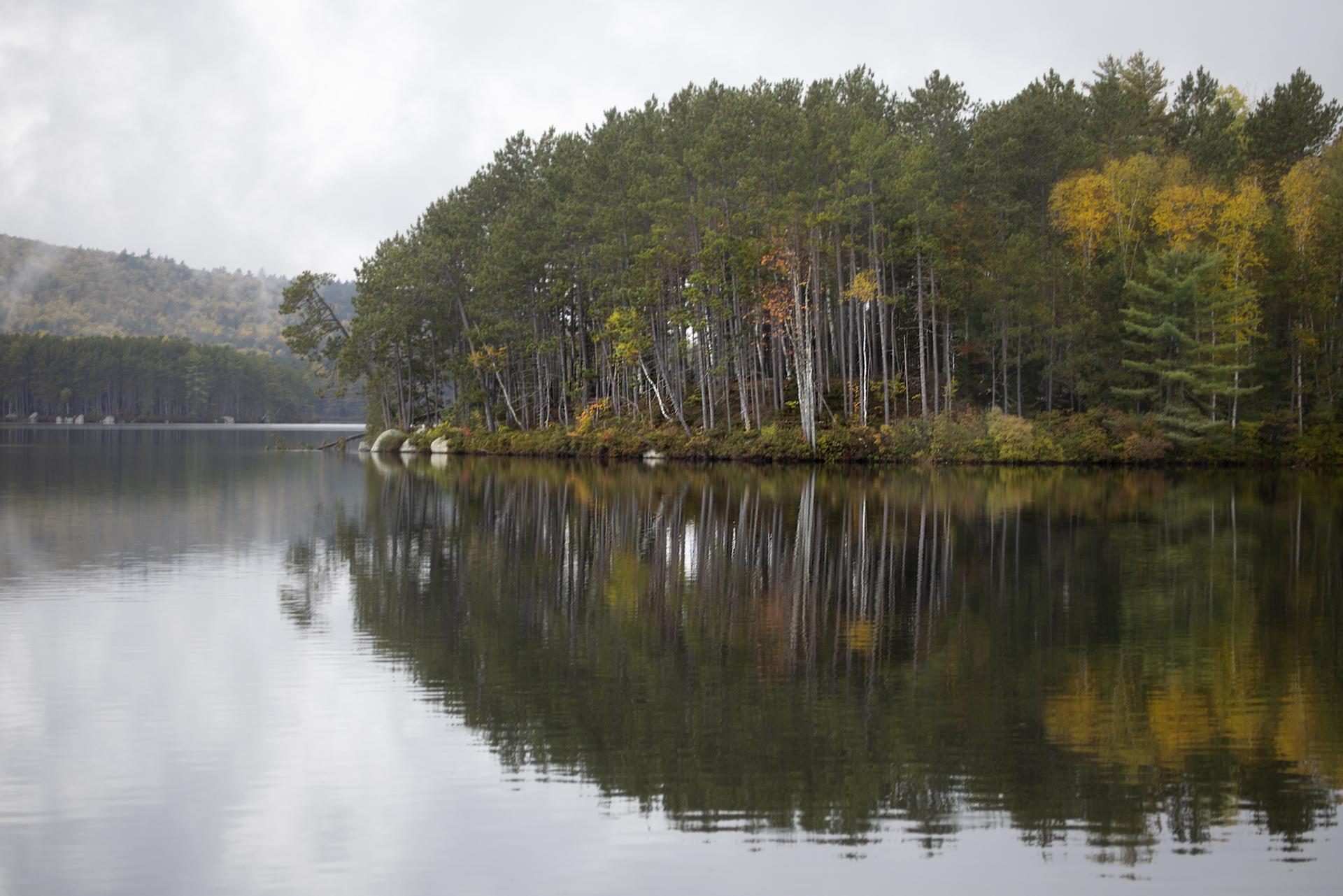 Calm lake reflecting a dense forest with autumn colors under an overcast sky.