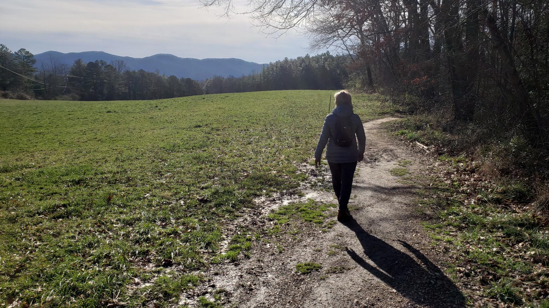 A person walks on a dirt path beside a sunny green field and mountains.