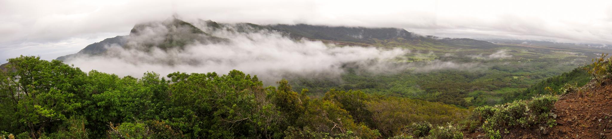 Panoramic view of a lush green valley and mountains shrouded in mist.