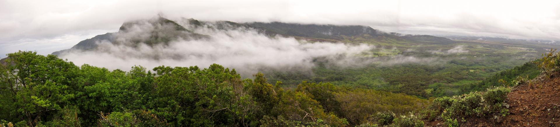 Panoramic view of a lush green valley and mountains shrouded in mist.