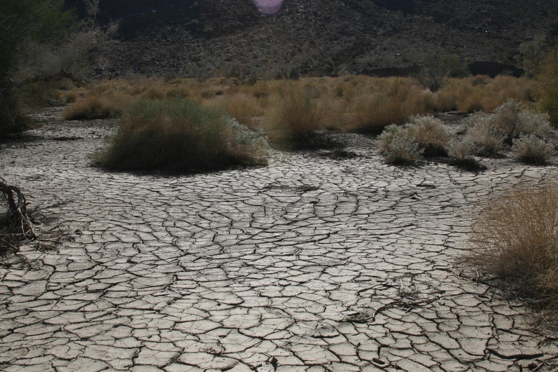 Close-up of cracked dry desert earth with sparse bushes and hills.